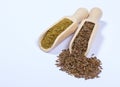 Ground cumin in a spoon and whole cumin.