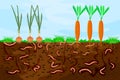 Ground cutaway with earthworms and vegetable. Earthworms in garden soil. Royalty Free Stock Photo