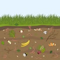 Ground cutaway with worms and food scraps. Pink earthworms in garden soil. Recycling organic waste. Farming and agriculture