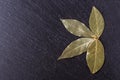 Ground dried bay leaf on a dark stone background Royalty Free Stock Photo