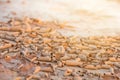 Ground in drought,soil texture and dry mud,land with dry cracked ground Royalty Free Stock Photo