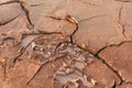 Ground in drought,soil texture and dry mud,land with dry cracked Royalty Free Stock Photo