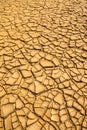 Ground in drought, soil texture and dry mud, produced by deforestation Royalty Free Stock Photo