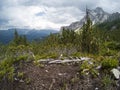 Ground and grass on a top on mountain with beautiful view on landscape of Dolomites moutains and a gree forest. South