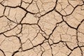 The ground has dried out due to lack of rain and has deep cracks Royalty Free Stock Photo