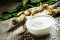 Ground horseradish, hot sauce to the food in a white bowl, roots Royalty Free Stock Photo