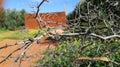 Ground house covered by thorns