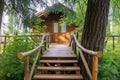 ground level entrance to a wooden treehouse