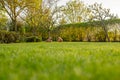 Ground level image of a well maintained and recently cut large garden seen in early summer. Royalty Free Stock Photo