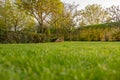 Ground level image of a well maintained and recently cut large garden seen in early summer. Royalty Free Stock Photo