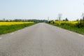 Ground level view of an asphalt road with rapeseed fields by roadside Royalty Free Stock Photo