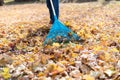 Low angle closeup of man raking leaves Royalty Free Stock Photo
