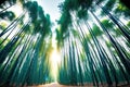 from the ground looking up at the sky in a bamboo forest, sunrays, blue sky with white clouds. AI