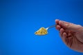 Ground mix Vegeta condiment on a small silver spoon. Close up studio shot, isolated on blue background Royalty Free Stock Photo