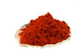 Ground paprika sea shell Royalty Free Stock Photo