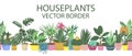 Ground plant, echeveria, spathiphyllum, aloe and haworthia, guzmania and dieffenbachia, houseplant - vector seamless horizontal