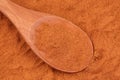 Ground red pepper in a wooden spoon Royalty Free Stock Photo