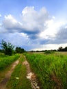 Ground road through green field against blue beautiful sky with clouds, scenic bright rural countryside nature landscape Royalty Free Stock Photo