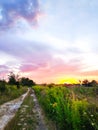 Ground road through green field against pink purple beautiful sky during sunset at summer, scenic bright rural Royalty Free Stock Photo