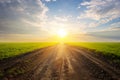 Road among a green fields at the sunset Royalty Free Stock Photo