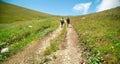 Ground road in nature. Armenia. Summer