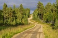 Ground road through the pin forest of Lemmenjoki national Parc in Finish Lapland. Inari municipality