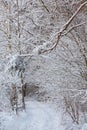 Ground road snowfall after Royalty Free Stock Photo