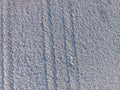 Ground with shells on the beach