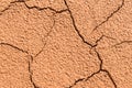 Ground soil texture dry dirt land with rock Royalty Free Stock Photo