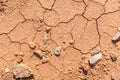 Ground soil texture dry dirt land with rock Royalty Free Stock Photo