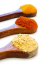 Ground spice on wooden spoons