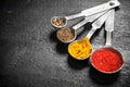 Ground spices in measuring spoons. Royalty Free Stock Photo