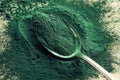 Ground spirulina algae on a spoon