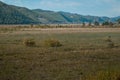 Ground squirrel field in steppe with mountains covered with green trees. Yellow dry grass with small bushes. Air haze. Baikal Royalty Free Stock Photo