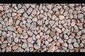 Ground stone grey background of many small stones. Rock texture background Royalty Free Stock Photo