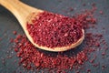 Ground sumac spice Royalty Free Stock Photo