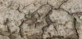 Dry ground in summer Royalty Free Stock Photo