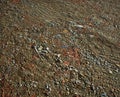 Ground surface with construction rubble.