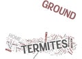 Ground Termites Text Background Word Cloud Concept