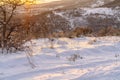 Ground with thick layer of fresh white snow illuminated by golden sun at sunset