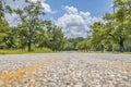 Ground view of an empty country road lined with green trees Royalty Free Stock Photo