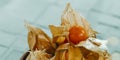 Groundcherries with husks, web banner