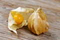 Groundcherries on a wooden surface Royalty Free Stock Photo