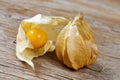 Groundcherries on a wooden surface