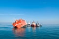 Grounded ro-ro vessel Jolly Amaranto Royalty Free Stock Photo