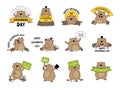 Groundhog animal badges. Cute wild animal on time loop repetition of days badges recent vector ads template collection Royalty Free Stock Photo