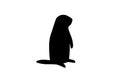 Groundhog day concept. Groundhog silhouette cut from black paper isolated on white background. space for text.