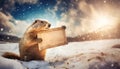 Groundhog day concept with a marmot stands on a snowy winter background holding an old wooden banner with copy space