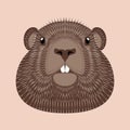 Groundhog Day. Concept National holiday in the USA and Canada. illustration of the face of the animal groundhog.