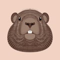 Groundhog Day. Concept National holiday in the USA and Canada. Vector illustration of the face of the animal groundhog.